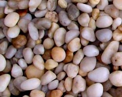 Sỏi trắng ngà tự nhiên Màu sắc: trắng vàng Loại: Sỏi trang trí Sỏi trắng ngà tự nhiên Màu sắc: trắng vàng Loại: Sỏi trang trí